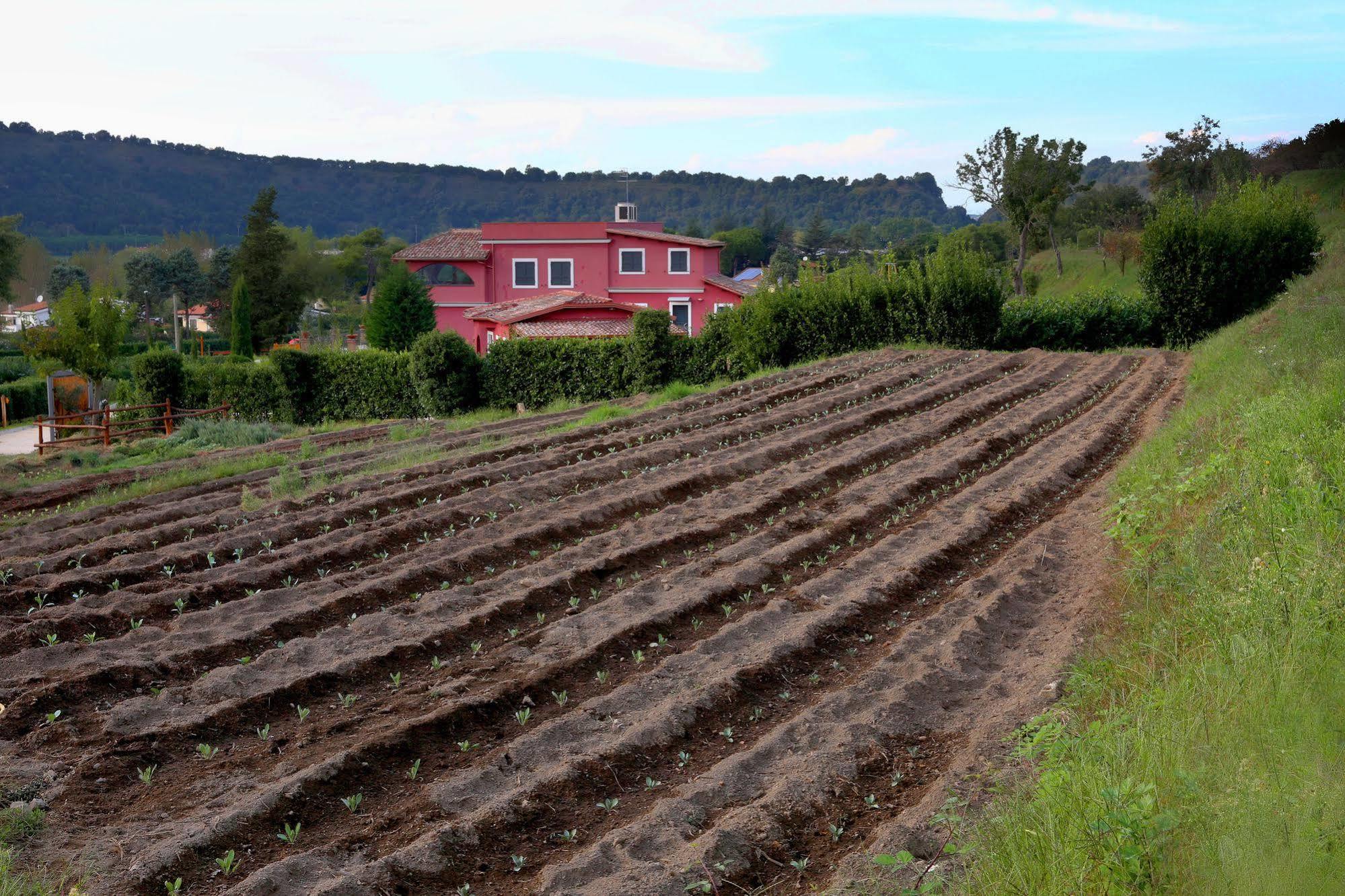 Agriturismo San Martino Pozzuoli Exterior photo